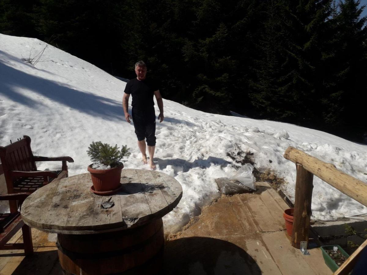Ferienwohnung Kuca Za Odmor "Djurovic" Kopaonik Exterior foto