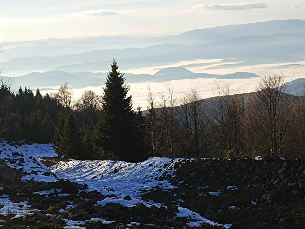 Ferienwohnung Kuca Za Odmor "Djurovic" Kopaonik Exterior foto